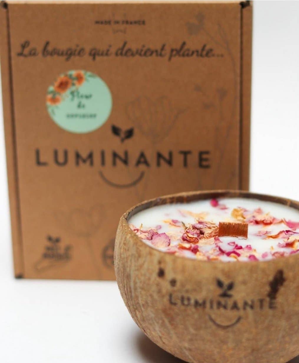 LUMINANTE – Vela em jarro/copo por atacado – A vela que se transforma em planta Flor de Cerejeira modelo coco1