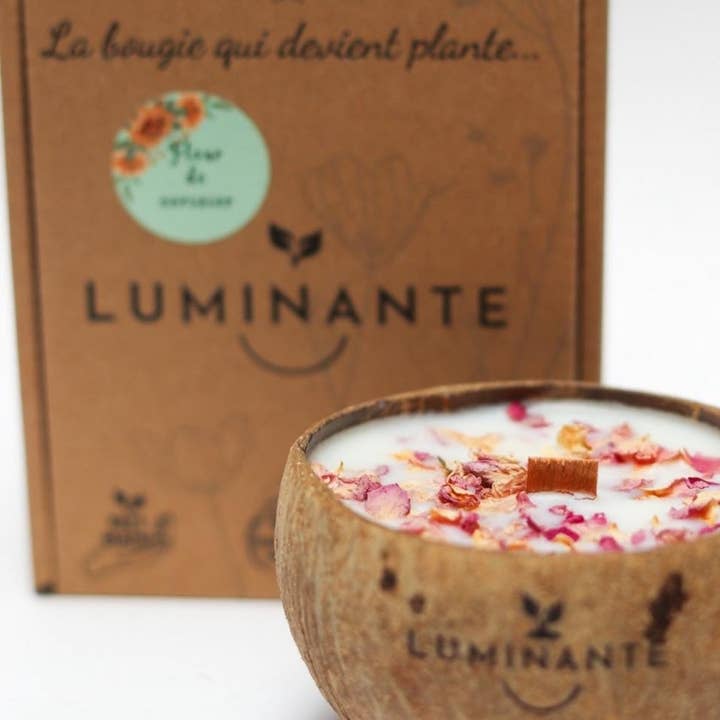 The Candle that becomes a plant Exotic Fruits model "coco" for wholesale by LUMINANTE