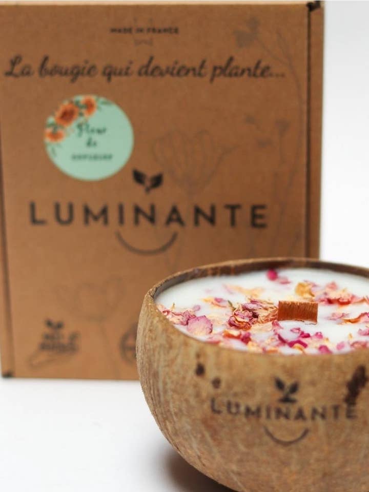 The Candle that becomes a plant Exotic Fruits model "coco" for wholesale by LUMINANTE
