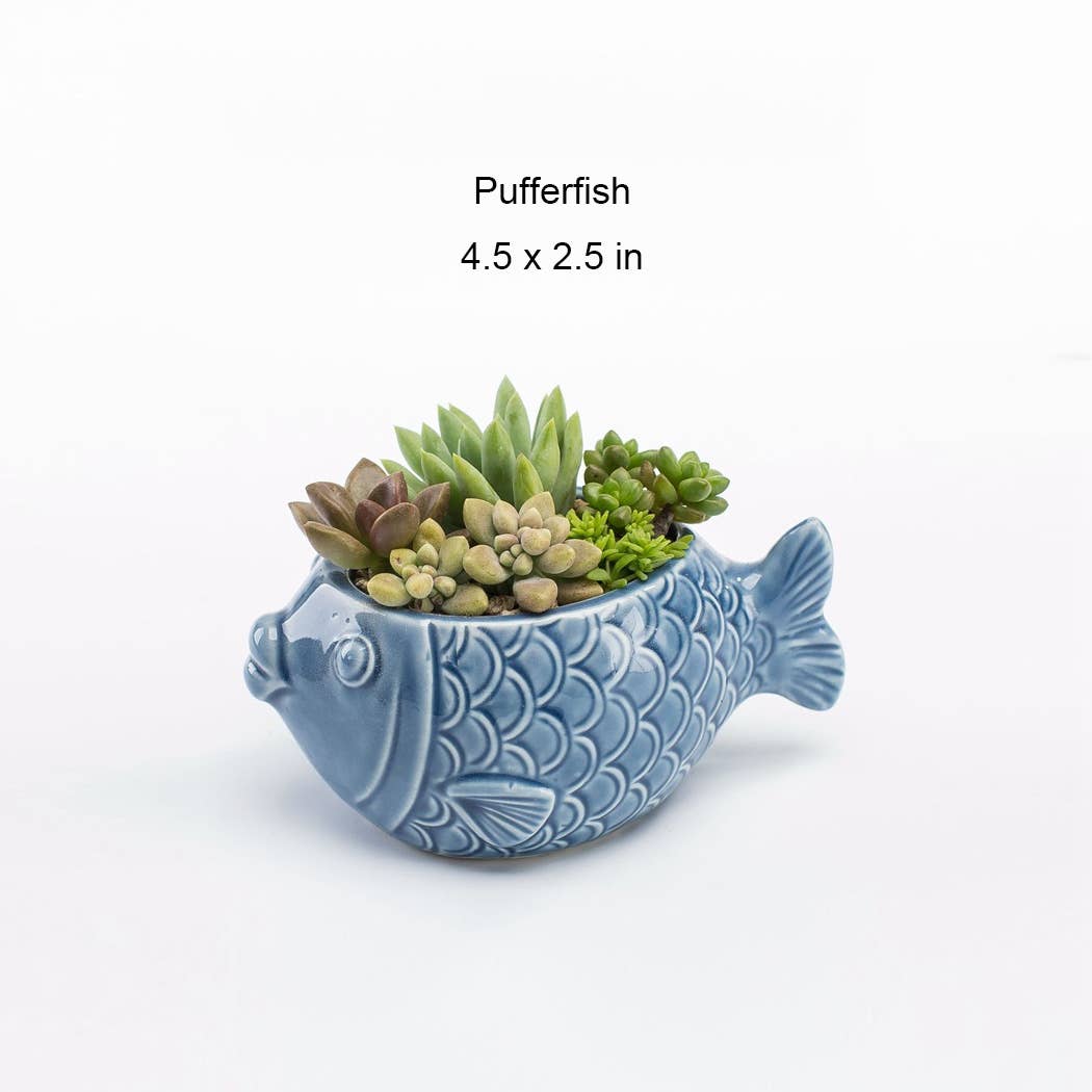 Ailly's garden - Wholesale Plant Pot - Under The Sea Planters11