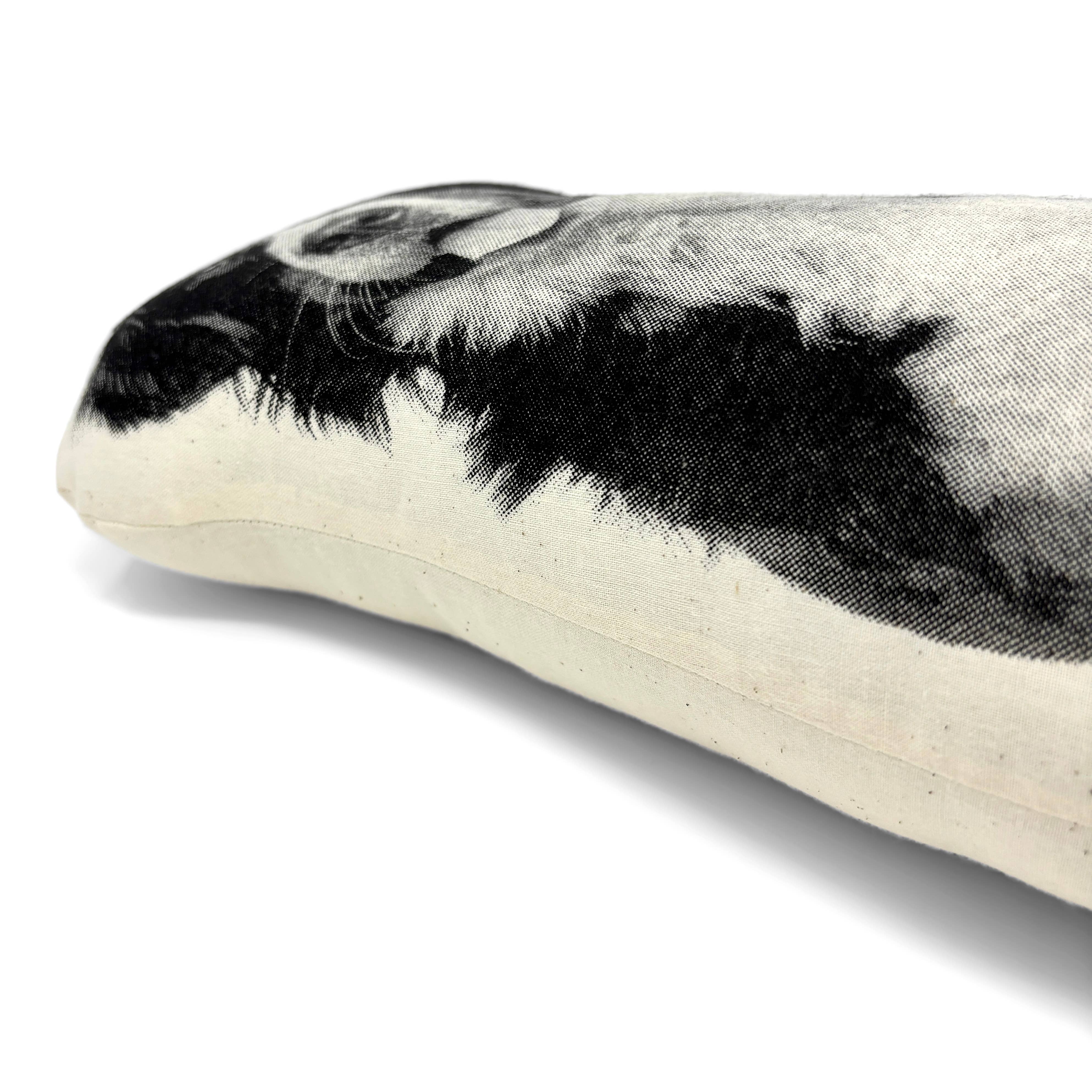 Broderpress - Wholesale Throw/Decorative Pillow - Bernese Mountain Dog Pillow1