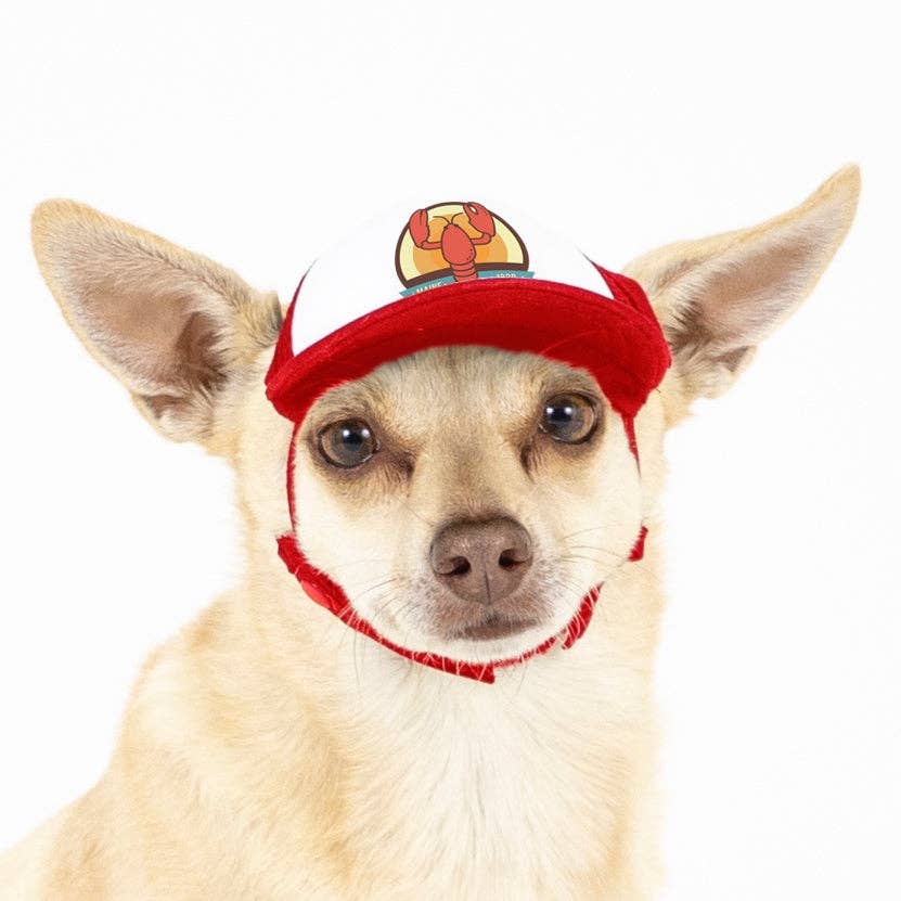 PupLid - Wholesale Pet Hat - Dog - Lobster Standard or Namedrop | Trucker Hat for Dogs38