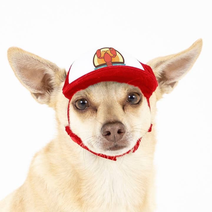 PupLid - Wholesale Pet Hat - Dog - Lobster Standard or Namedrop | Trucker Hat for Dogs38