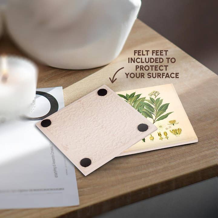 3dRose - Wholesale Coasters - 3dRose, Bay Leaf Kitchen Art - Bay Leaves Tree Herb Plant Print Cooking Gift, Coaster3