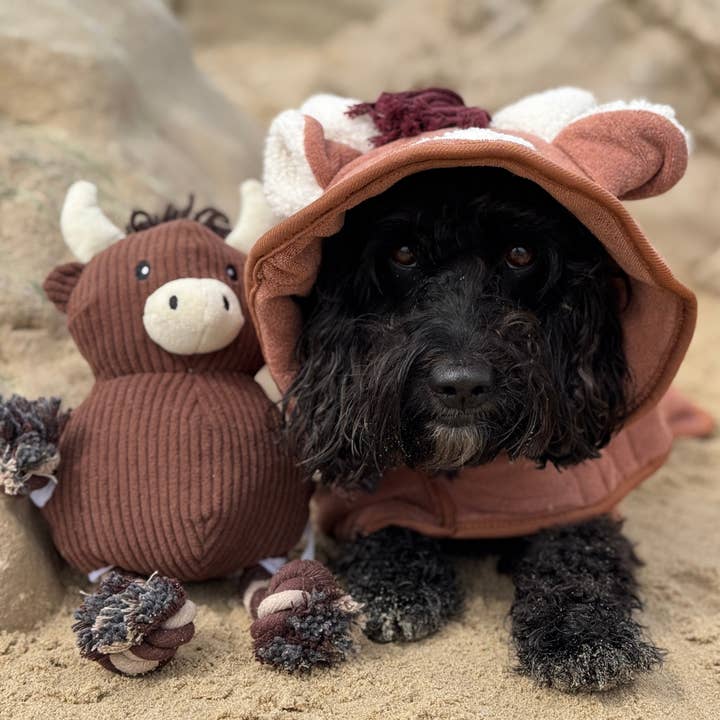 Cocopup London - Wholesale Hooded towel – Child & baby - Harold the Highland Cow Drying Robe3