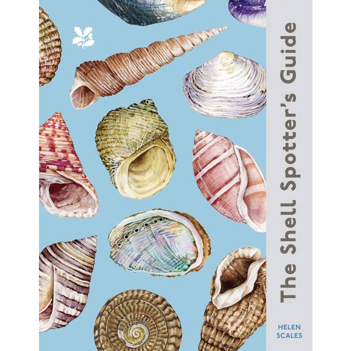 Independent Publishers Group - Wholesale Nature & Outdoors - Shell-spotter’s Guide