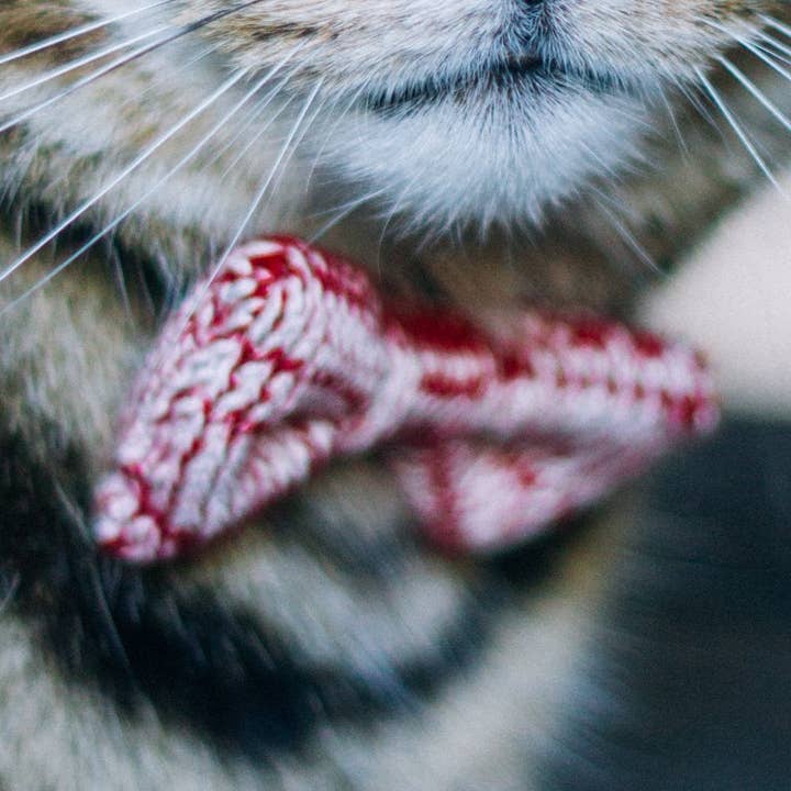 Nœud papillon en forme de chat (4 couleurs disponibles) pour la vente par Wool & Whiskers