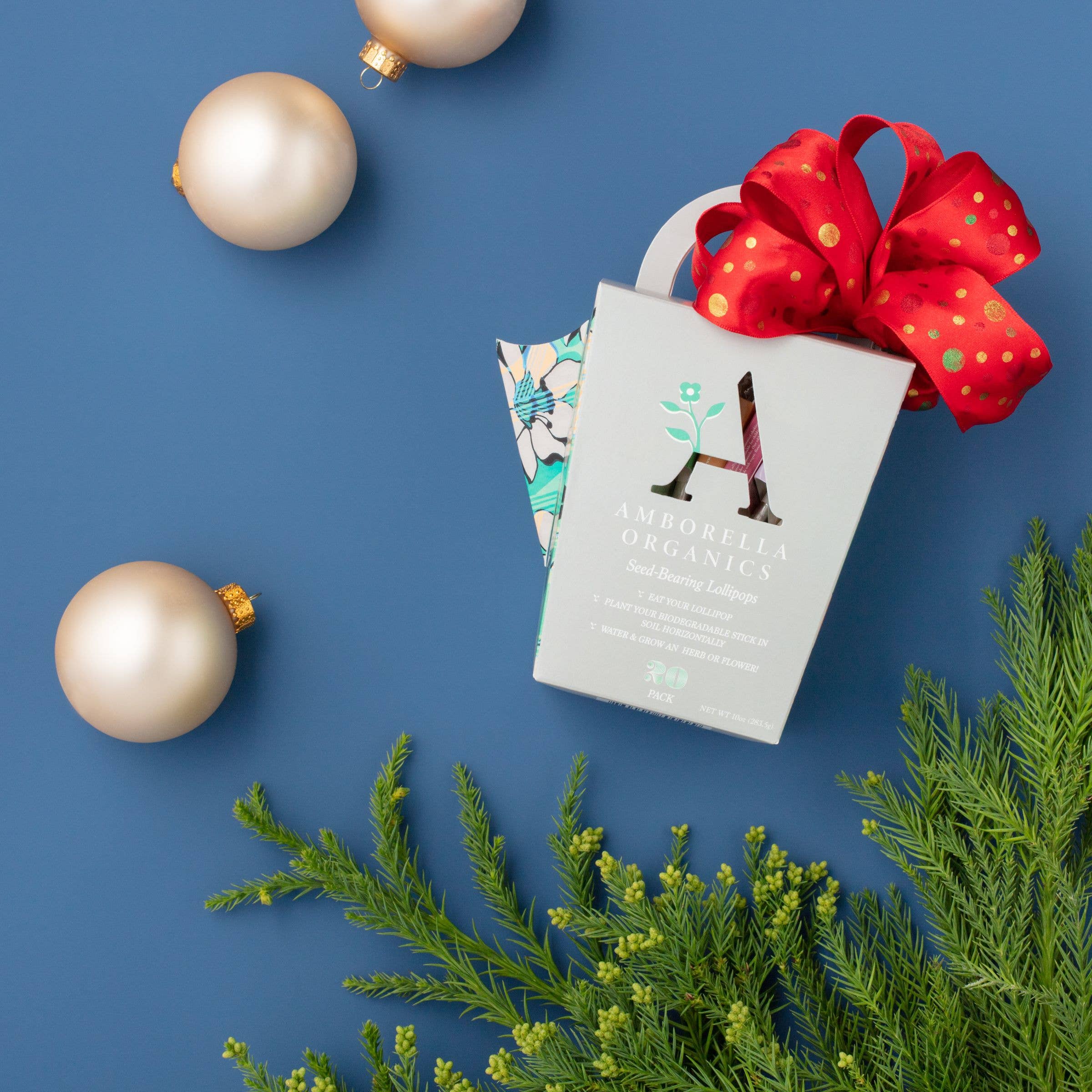 Amborella Organics - Wholesale Lollipop - Watering Can-Dy 20 Pack (Eat, Plant & Grow a Herb/Flower)8