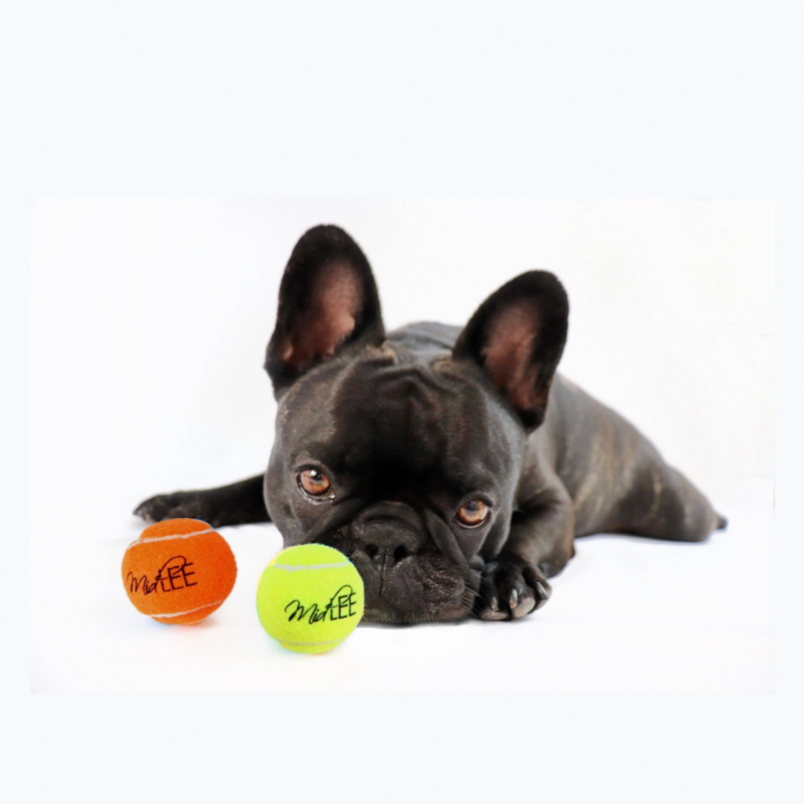 Midlee Designs - Wholesale Pet Fetch Ball - Dog - Midlee Mini 1.5" Dog Tennis Balls w/ Squeaker - Solid Colors3