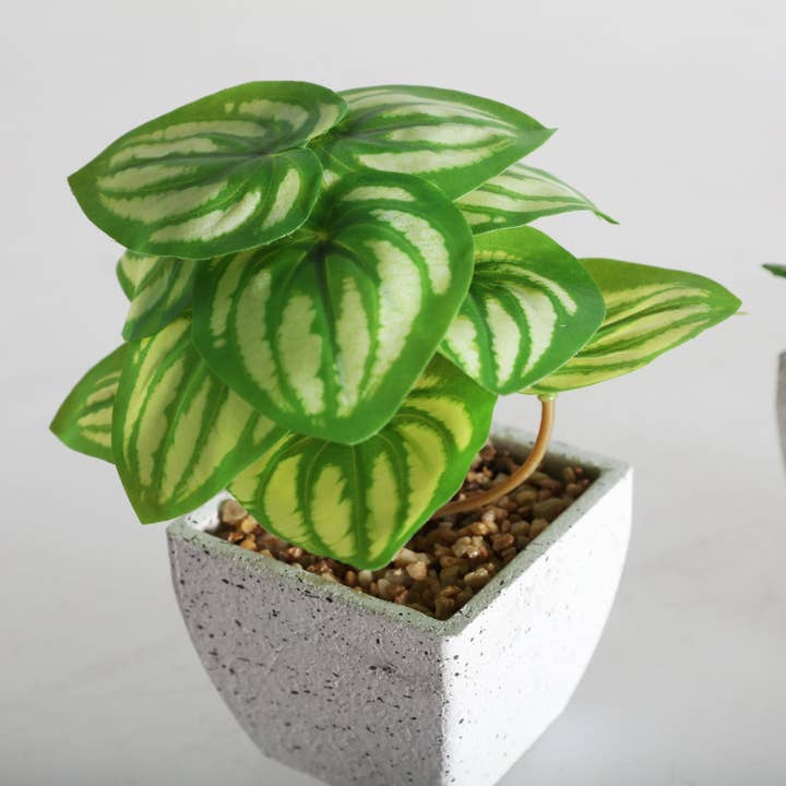 B&B - Vente Pot - Plante Assortiment 4 En Ciment Multicolore 12X12X14cm3