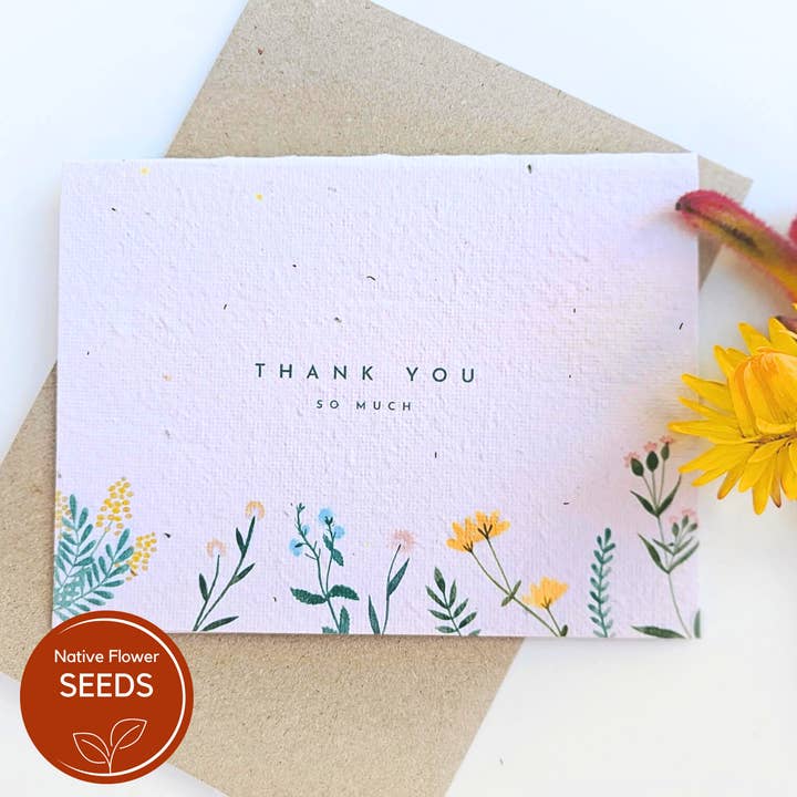 Native Seed Box - Wholesale Thank you card - Plantable Thank You Card - Floral - Swan River Daisy