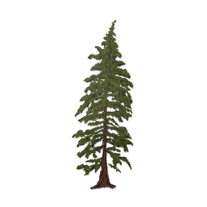 Hemlock Tree (Transparent) for wholesale by Wavy Baby Design