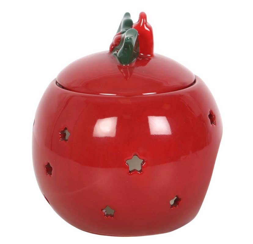 Les folies de Nicole - Wholesale Wax Warmer - 🍃 Burner “Christmas Holly”