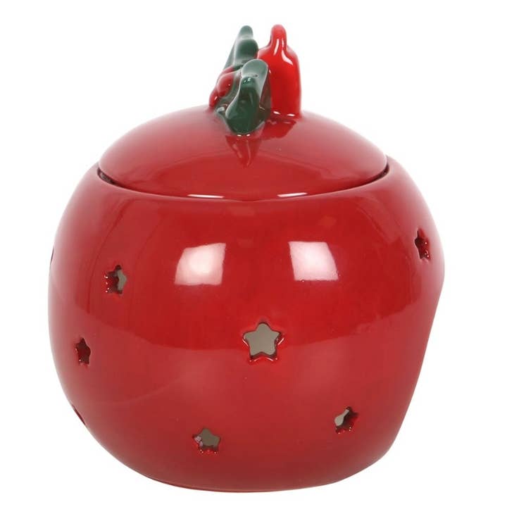 Les folies de Nicole - Wholesale Wax Warmer - 🍃 Burner “Christmas Holly”0
