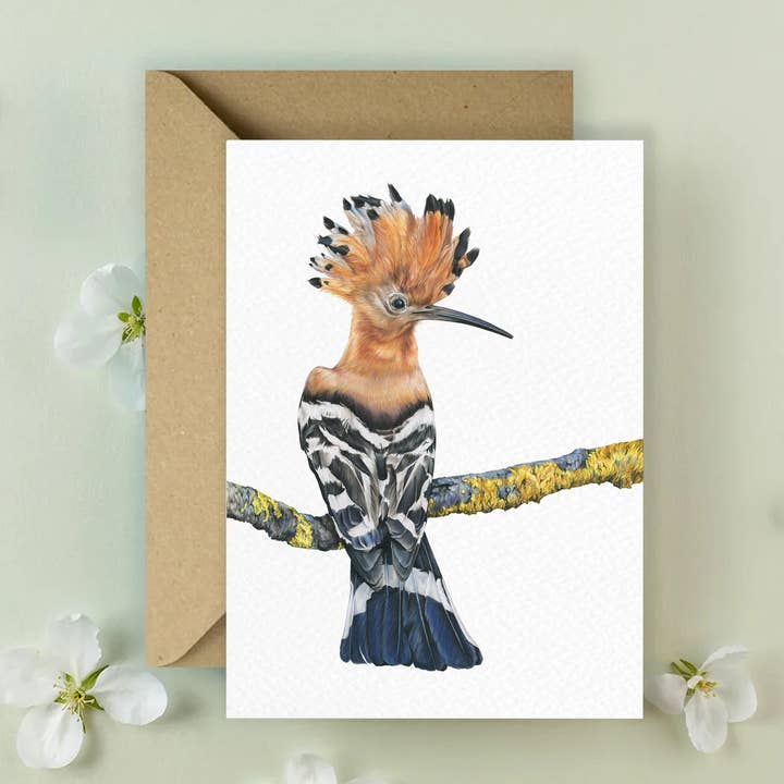 Cartão de felicitação 'Hoopoe' por atacado de Kimberley Dewhurst Art