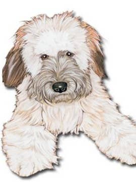 Wheaten Terrier Magnet Wooden for wholesale by Pipsqueak Productions