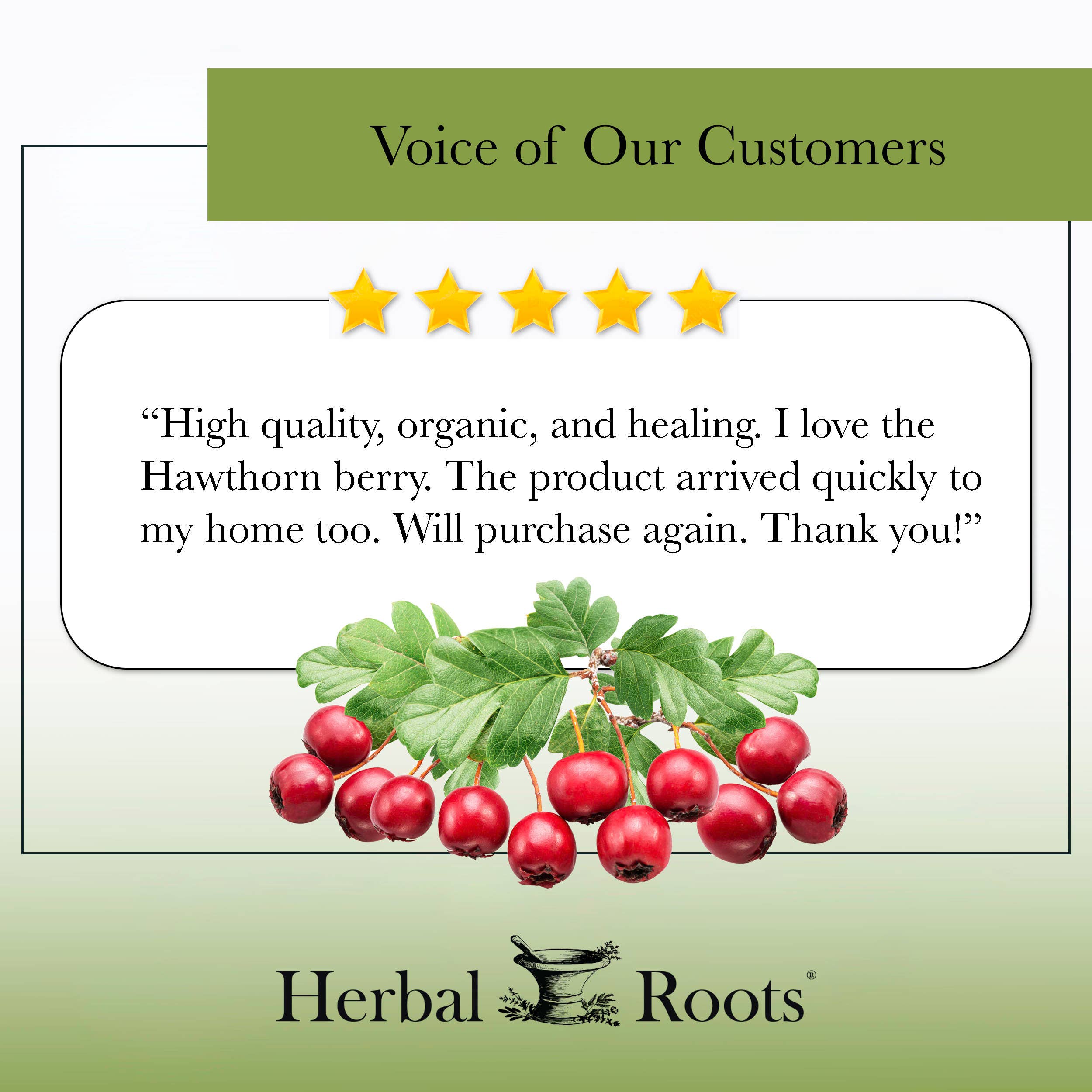 Herbal Roots - Wholesale Oral Supplement/Vitamin - Herbal Roots Organic Hawthorn Berry Capsules6
