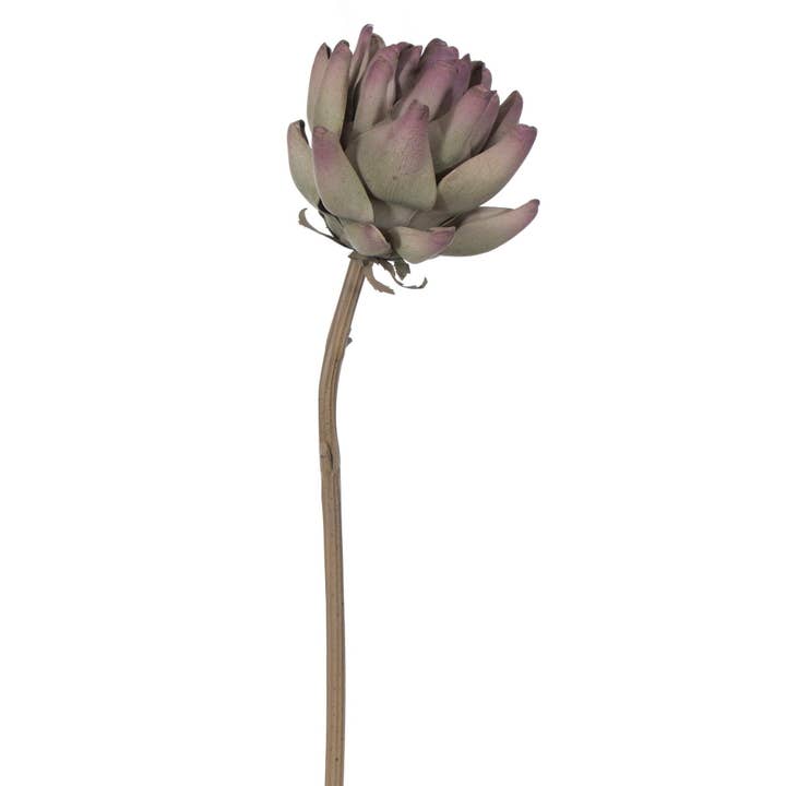 Vickerman 21.5" Purple/Green Protea Stem 2/Bag for wholesale by Vickerman