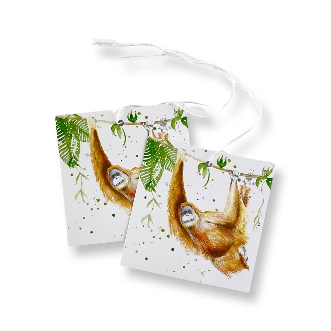 The Arty Penguin - Wholesale Flat Wrap - Monkey and Ape Recycled and Recyclable Wrapping Paper & tags2