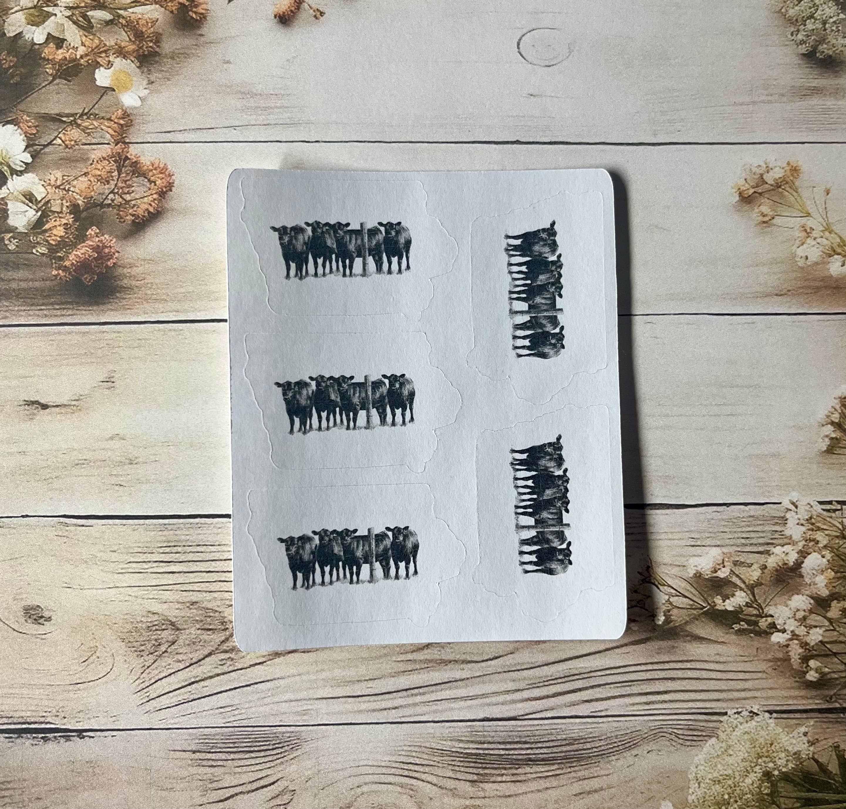 Iowa Paper Farm - Wholesale Everyday Greeting Card - Iowa with black cows greeting card pack, set of 52