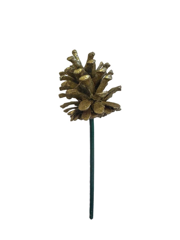 Natural Pine Cone on Pick for wholesale by Champion Greens Forest farm