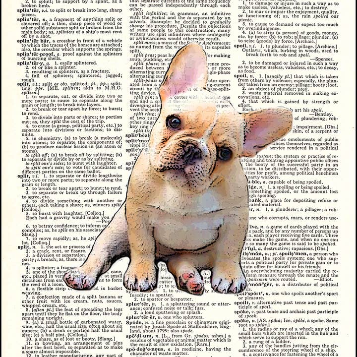 French Bulldog Puppy Dictionary Print for wholesale by Fresh Prints of CT