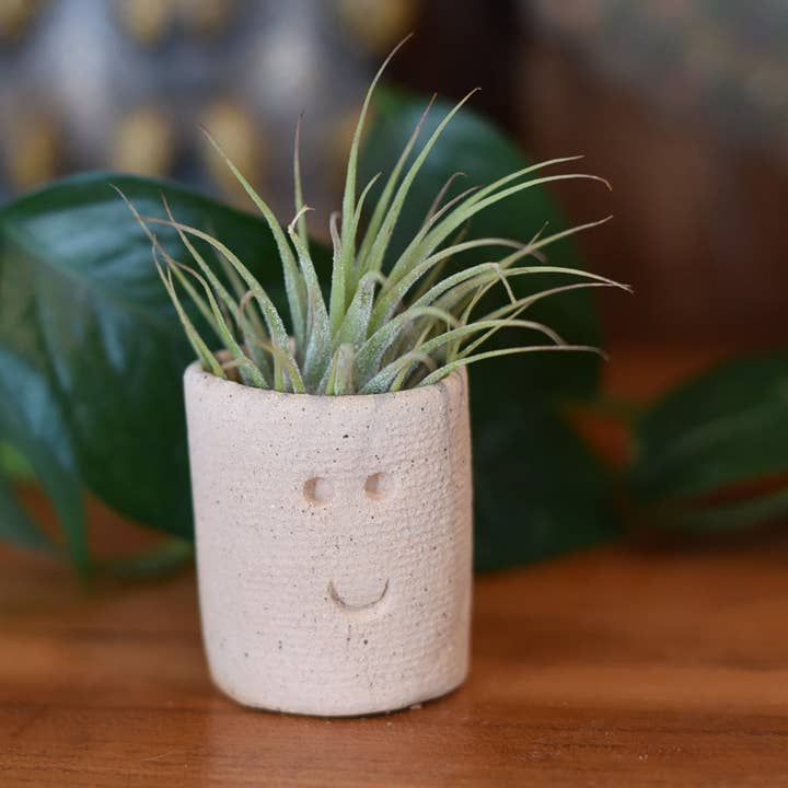 Mud & Maker - Wholesale Plant Pot - Air Plant Little Buddies - Smiles 0