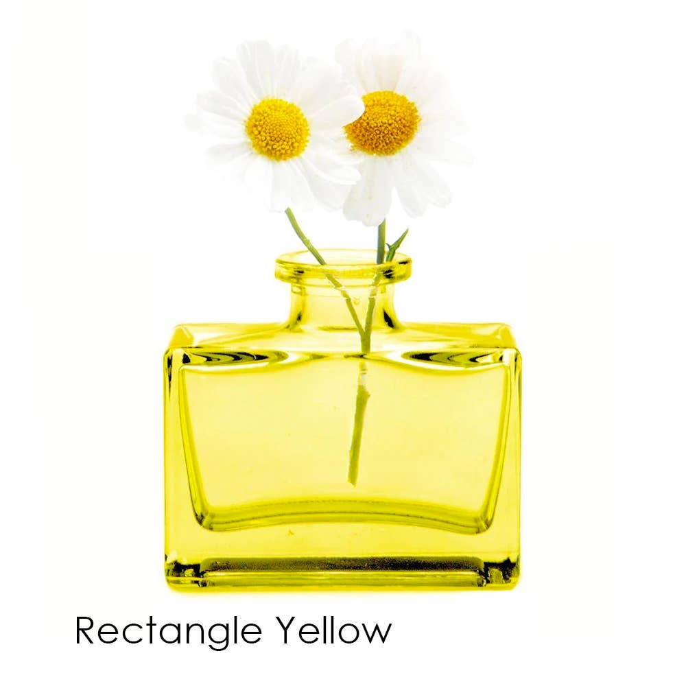 Chive - Wholesale Vase - Loft  Colorful Transparent Bud Vase Set Oval, Round, Square20