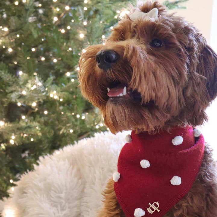 The Deluxe Pup – wholesale Pet bandana – Dog – CHRISTMAS DOG BANDANA | HOLIDAY CHEER