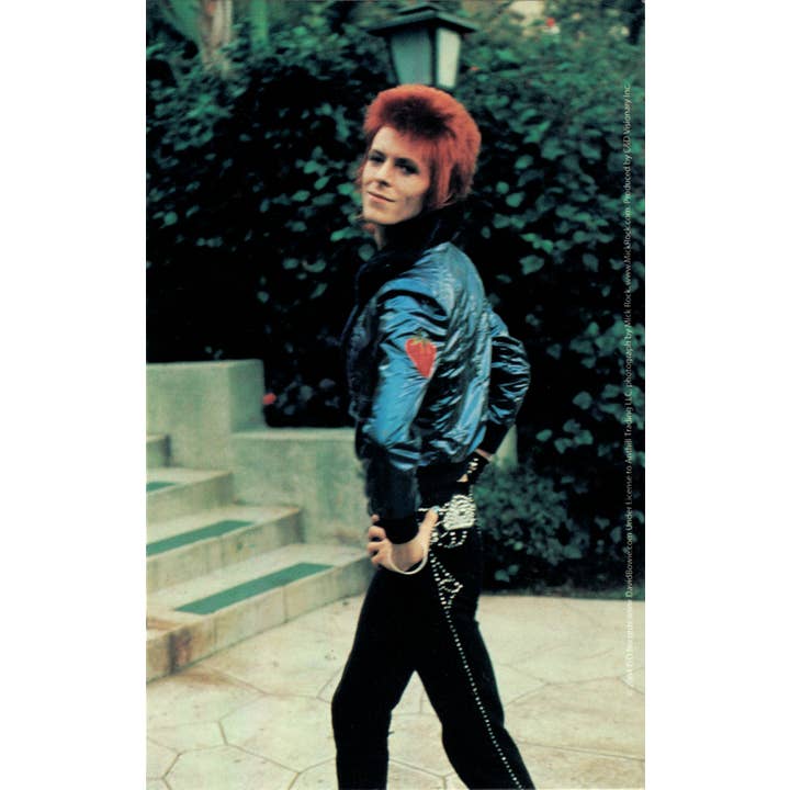 Autocollant - David Bowie Jeune, Posant - Musique Glam Rock des années 1970 pour la vente par Square Deal Recordings & Supplies