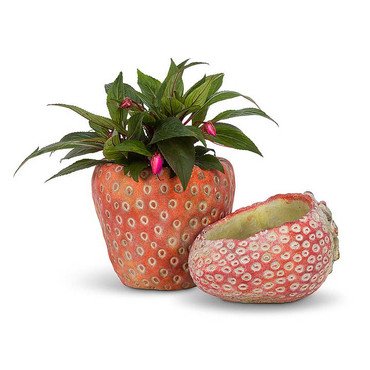 Abbott - Wholesale Plant Pot - Small Strawberry Planter-5"D3