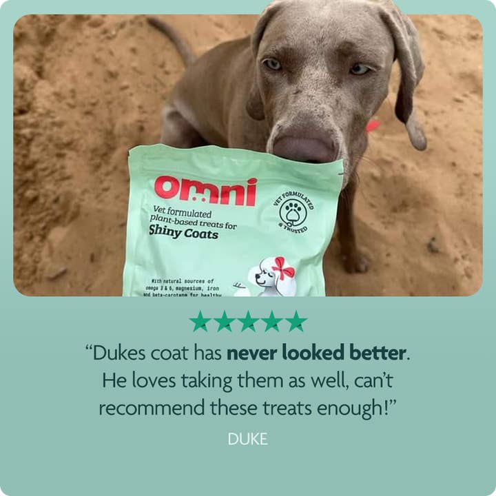 Omni - Venta al por mayor Chuches - Perros - Golosinas de Entrenamiento - Pelajes Brillantes