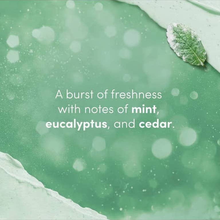 First Choice Buying - Wholesale Body Scrub/Exfoliant - Dove Limited Edition Body Scrub, Winter Mint, 3.5 Oz4