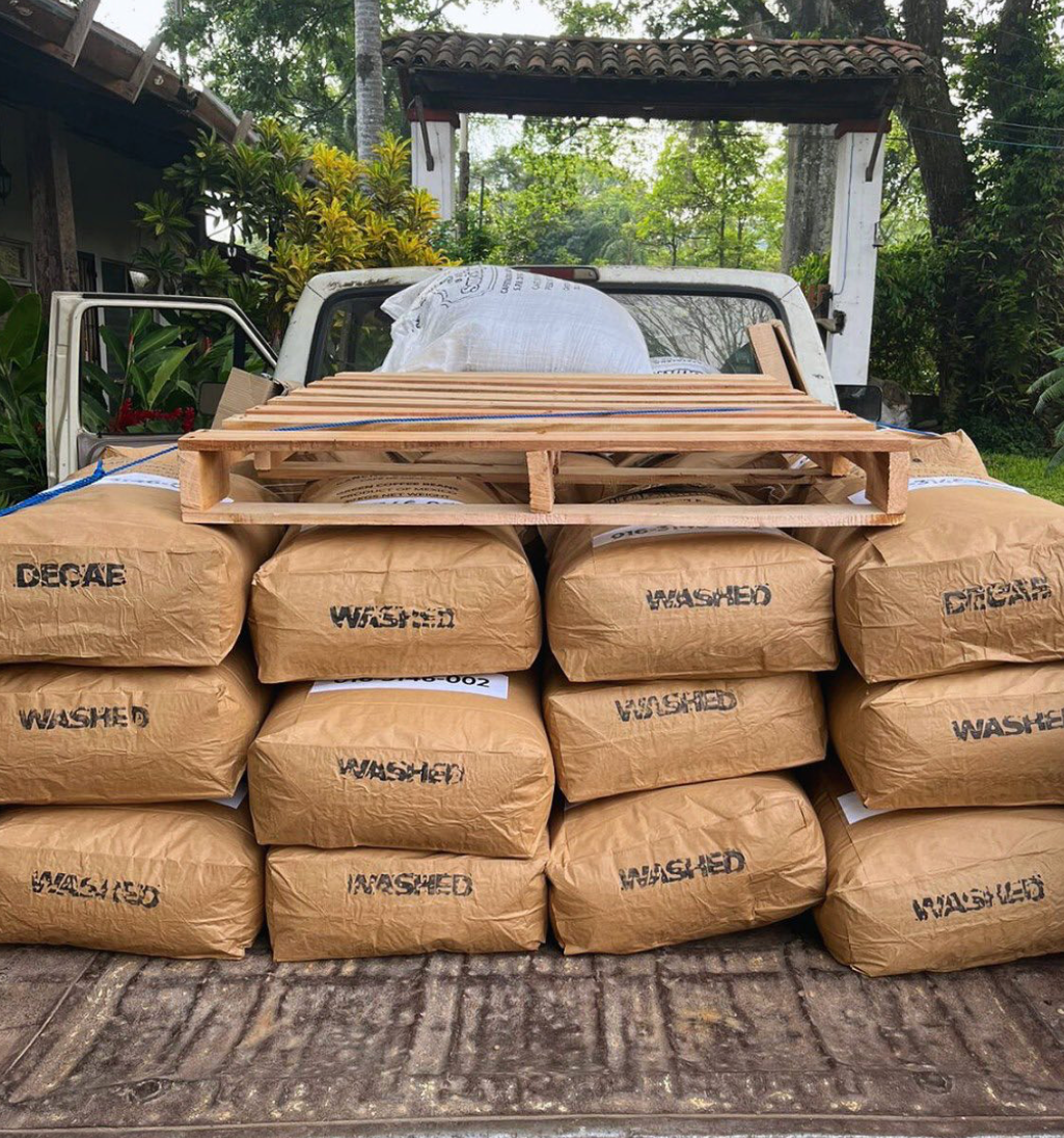 Praxis Coffee Roasters - Wholesale Coffee Beans - Rancho San Felipe, Mexico1