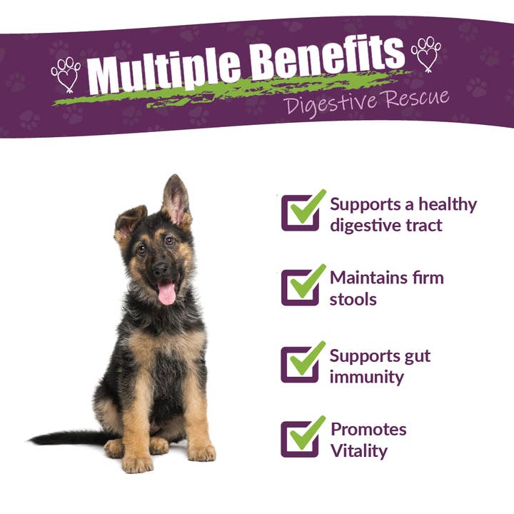 Amber NaturalZ, Inc. - Wholesale Pet Supplement - Cat/Dog - Paxaid | Pet Supplement