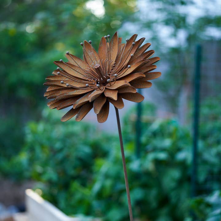 Estaca de Flor Grand Astra por atacado de Elegant Garden Design