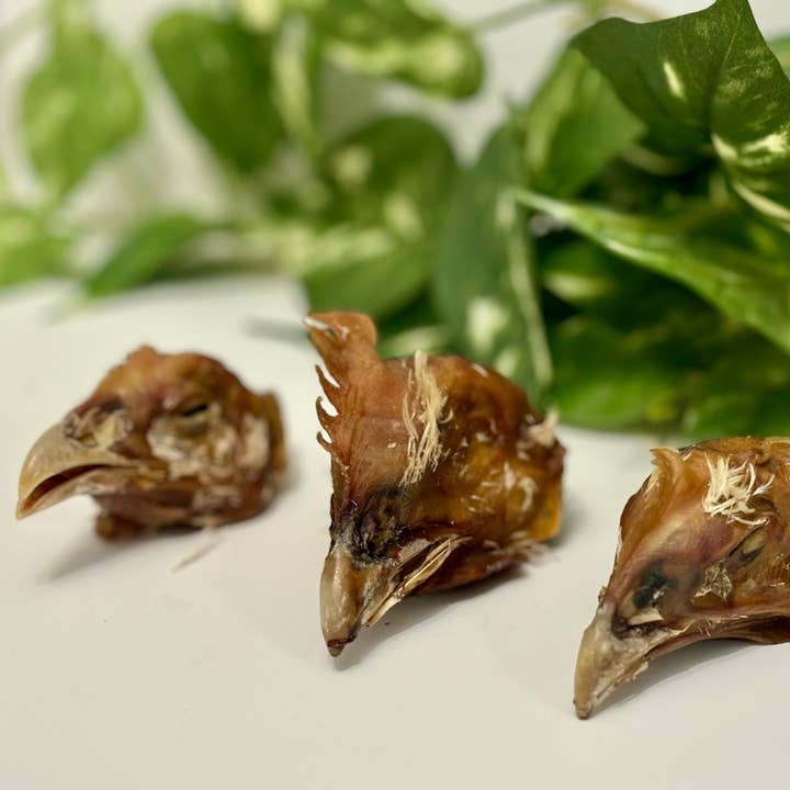 Dehydreret kyllingehoved for engroshandel hos Rocky&Stella’s Treats