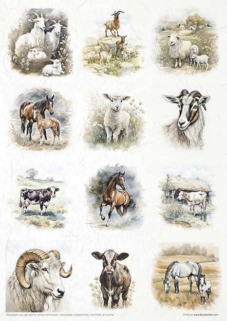 ITD Collection - Vente Matériels de bricolage - RP068 - Set créatif de papier de riz - 11 feuilles format A4 (21 x 29,7 cm)6