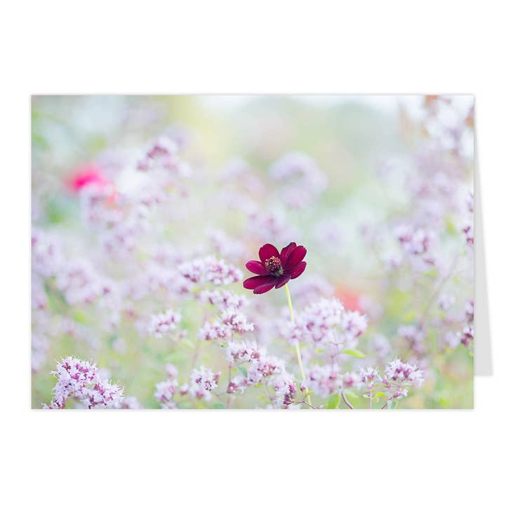 Midi-foldekarte "Chokolade-Kosmos II" for engroshandel hos paruspaper. nutzfeine papeterie