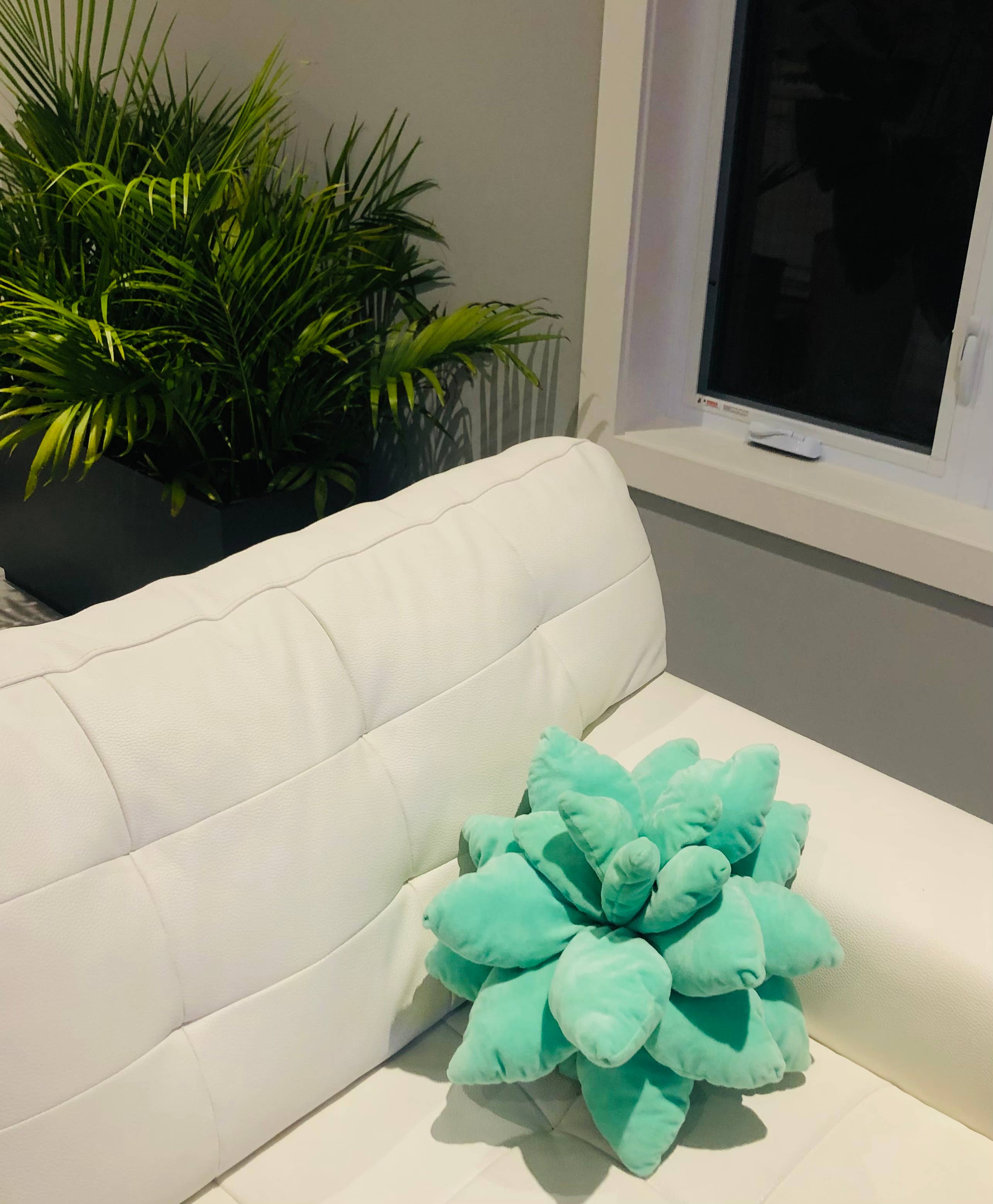 GreenWave – wholesale Throw/decorative pillow – SALE Decorative Cactus Pillow0