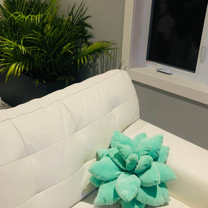 GreenWave – wholesale Throw/decorative pillow – SALE Decorative Cactus Pillow