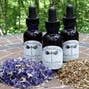 Eyebright Elixir for wholesale by Small Batch Garden