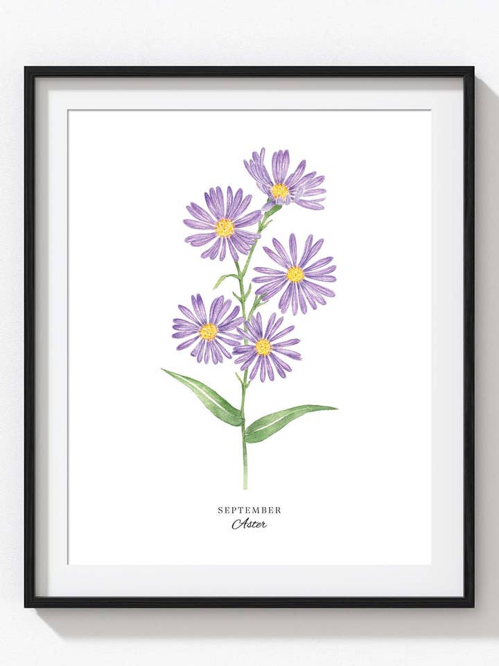 September Birth Flower Print, Aster for wholesale by Tammy Speed Design