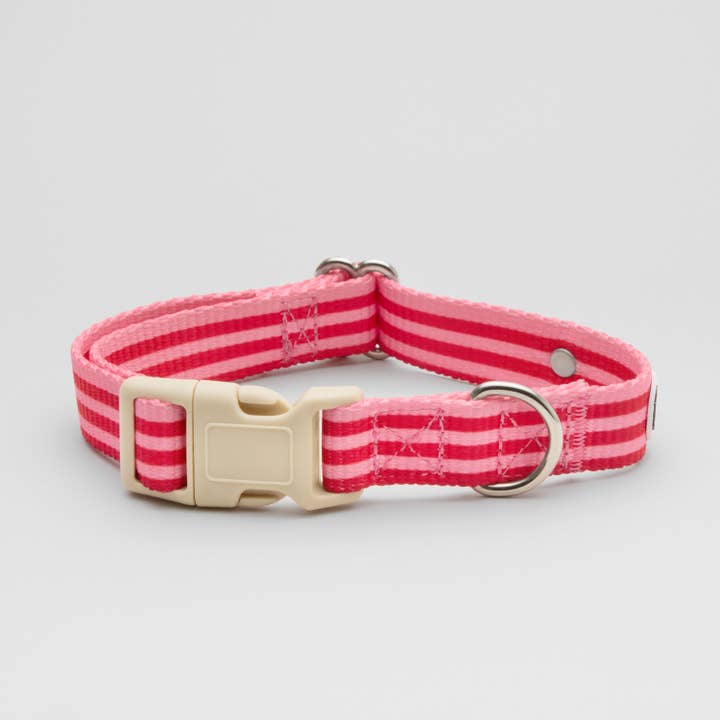 Hundehalsbånd Stribet Pink & Rød for engroshandel hos Barkalot