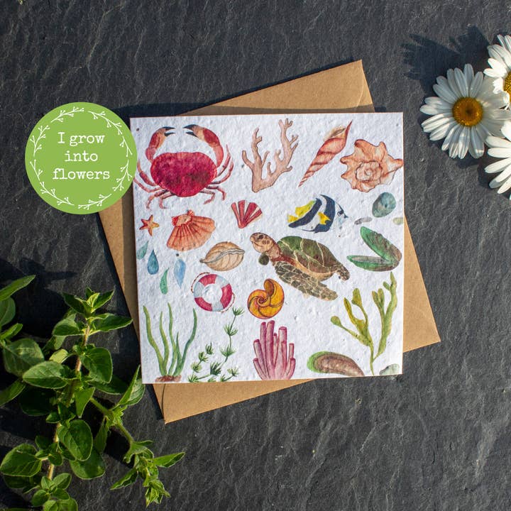 Plantable Greetings Card - Rock Pool Animals for wholesale by The Naughty Shrew