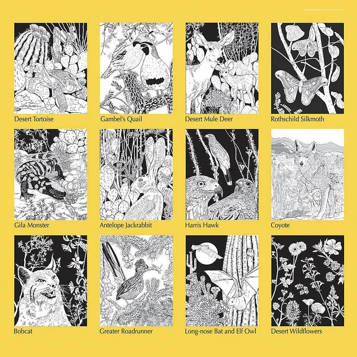 Wild Horizons Productions - Wholesale Coloring Book - Adult - DESERT DREAMS COLORING BOOK for Adults & Children