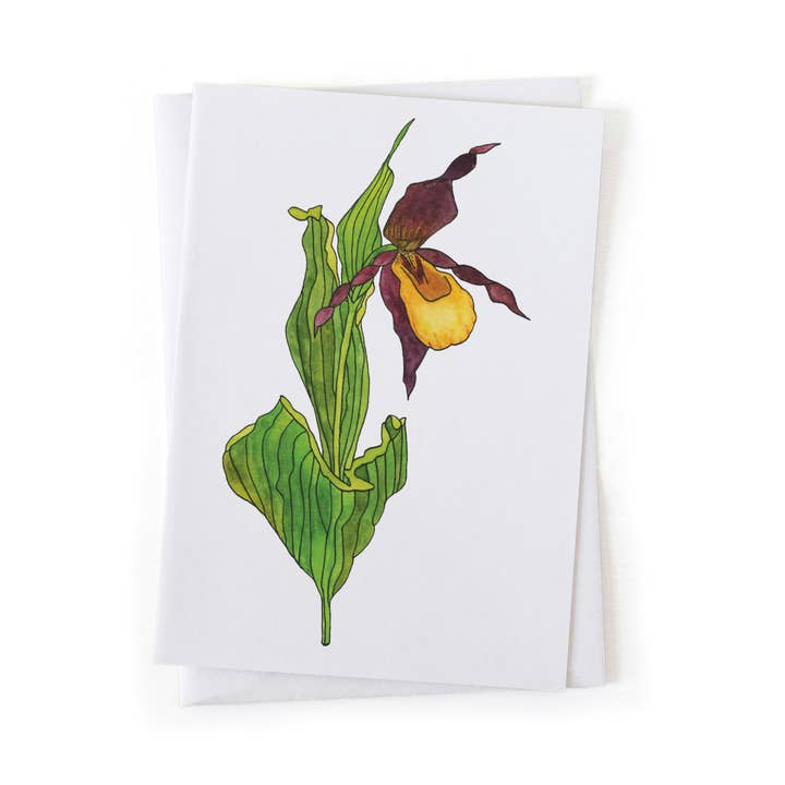 Yellow Lady Slipper Wildflower Botanical 5x7 Card for wholesale by Wander & Gather