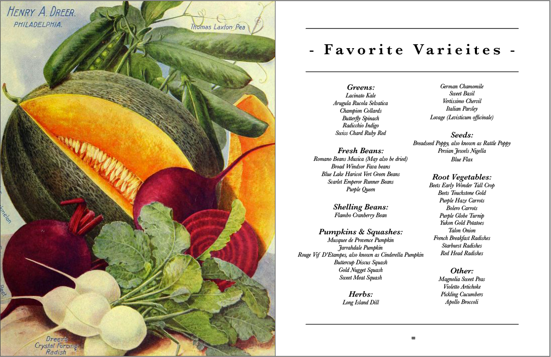 Honest Magazine - Wholesale Magazine - Summer, Plant & Prosper7