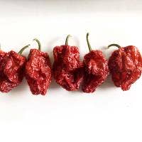 Organic Dried Aleppo Chili Peppers