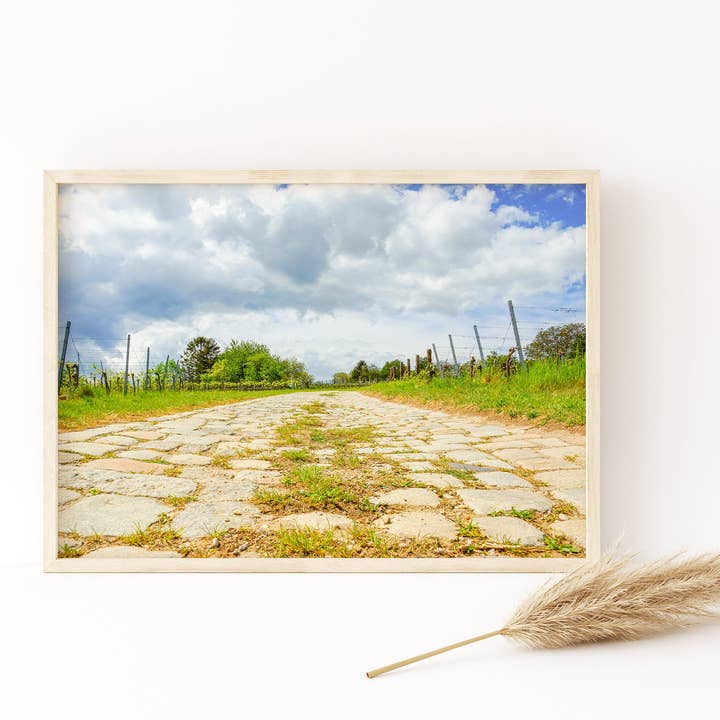 Natasha Riha Photography - Wholesale Photograph - Weinberge | Fine Art Fotodruck1